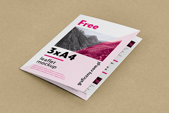 Free trifold leaflet mockup