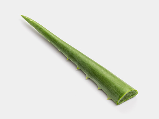 Free aloe image