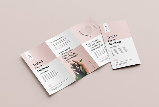 Free 2,85x5,5 in flyer mockup