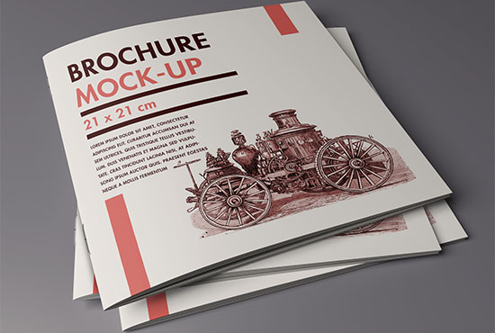 Free Folder / Brochure mockup