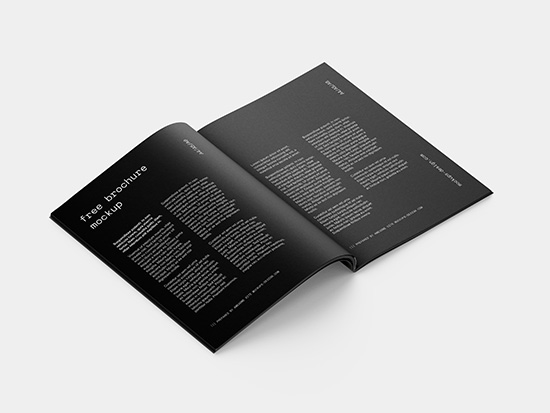 Opened brochure mockup