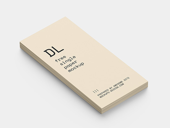 Stack of DL flyers mockup